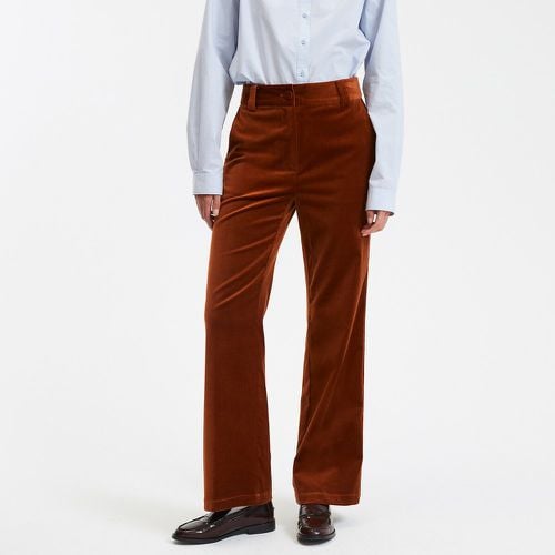 Signatures Quentin Flared Trousers in Cotton Velvet, Length 30.5" - LA REDOUTE COLLECTIONS - Modalova