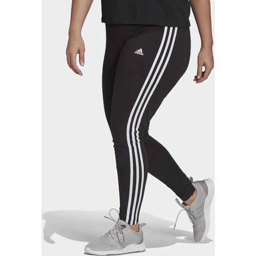 Essentials 3 Stripes Leggings in Cotton - ADIDAS SPORTSWEAR - Modalova