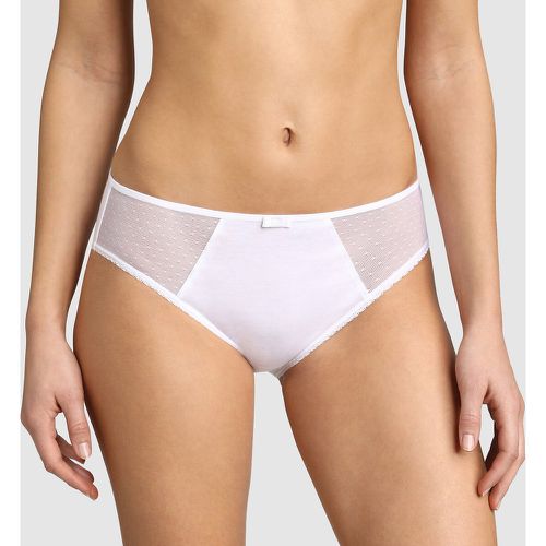 Generous Organic Cotton Knickers - Dim - Modalova