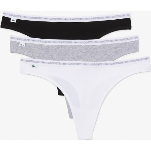 Pack of 3 Thongs in Cotton - Lacoste - Modalova