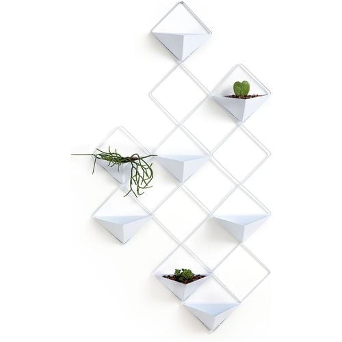 Ikebana Metal Wall Planter - LA REDOUTE INTERIEURS - Modalova