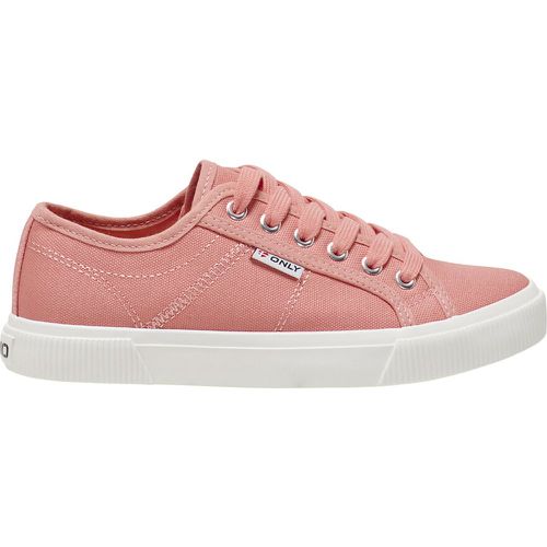 Nicola Low Top Trainers in Canvas - ONLY SHOES - Modalova