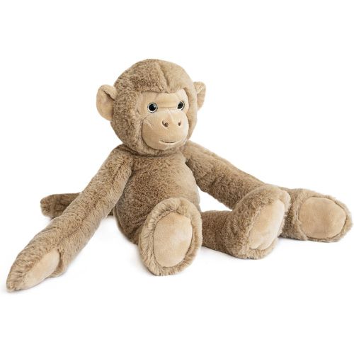 Cm Monkey Soft Toy - HO2949 - HISTOIRE D'OURS - Modalova