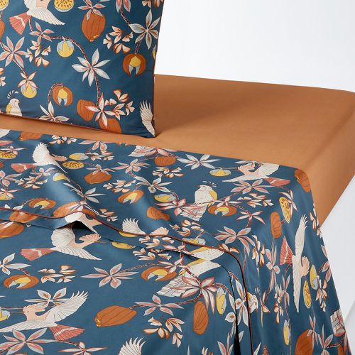 Letti Tropical 100% Cotton Percale 200 Thread Count Flat Sheet - LA REDOUTE INTERIEURS - Modalova