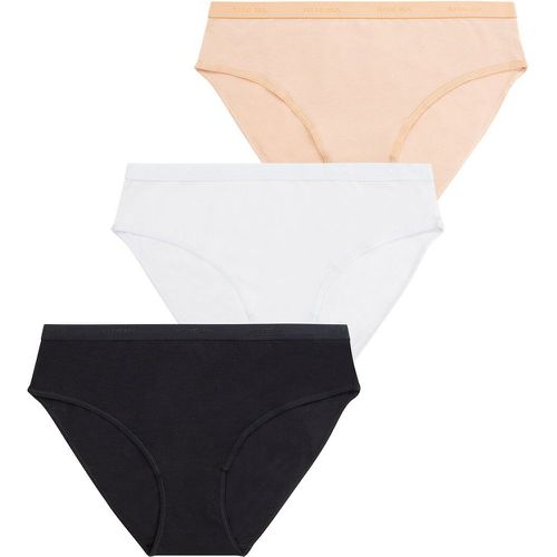 Pack of 3 Knickers in Cotton - Athena - Modalova