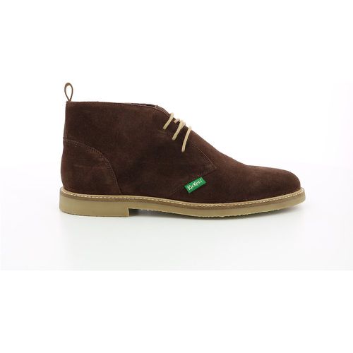 Tyl Suede Ankle Boots with Laces - Kickers - Modalova