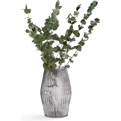 Afa 25cm High Cylindrical Grooved Glass Vase - LA REDOUTE INTERIEURS - Modalova