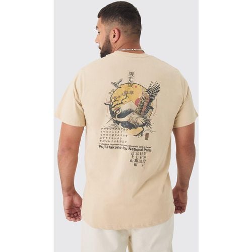 T-shirt Plus Size oversize con grafica di uccelli - boohoo - Modalova