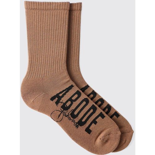 Calzini con ricamo Abode, Brown - boohoo - Modalova