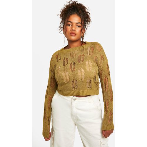 Maglione Plus Size semi-trasparente con dettagli smagliati - boohoo - Modalova