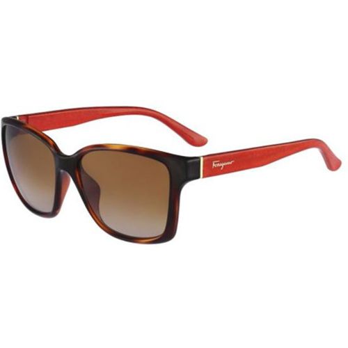 Gafas de Sol SF 716S 207 - Salvatore Ferragamo - Modalova