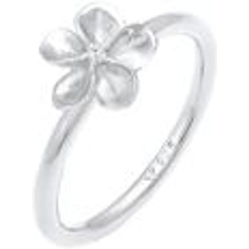 Ring Frangipani Blüte Blume Zirkonia 925 Silber (Farbe: Silber, Größe: 54 mm) - NENALINA - Modalova