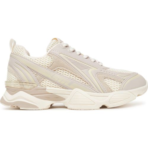 Sneakers Speedster-E SM19000122 Écru - Steve Madden - Modalova