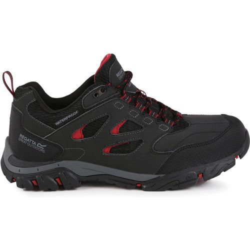 Scarpe da trekking Holcombe IEP Low RMF572 - Regatta - Modalova