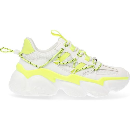 Sneakers Spectator Sneaker SM11002961-04005-11H - Steve Madden - Modalova