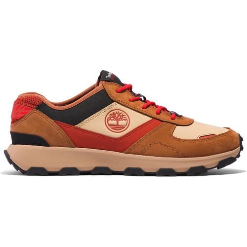 Sneakers Winsor Park Ox TB0A611MF131 - Timberland - Modalova