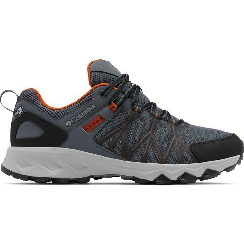 Scarpe da trekking Peakfreak II Outdry 2100711 - Columbia - Modalova