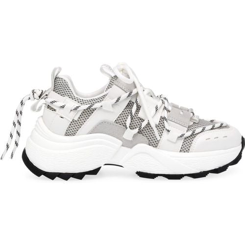 Sneakers Tazmania Sneaker SM11002419-04005-739 - Steve Madden - Modalova