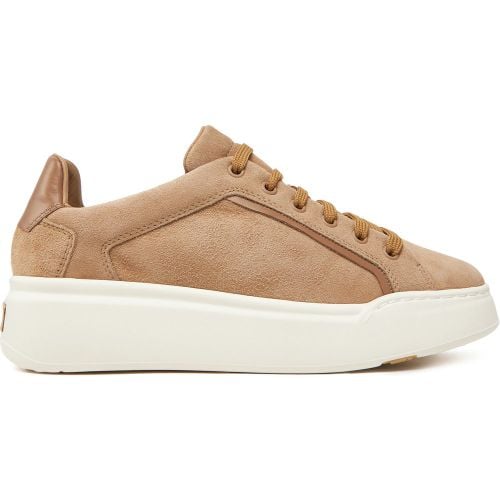 Sneakers 2514761011650 - Max Mara - Modalova