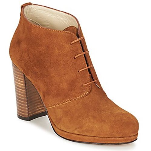 PANAY women's Low Ankle Boots in - Betty London - Modalova