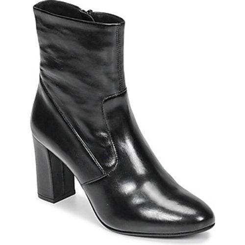 AVENUE women's Low Ankle Boots in - Steve Madden - Modalova