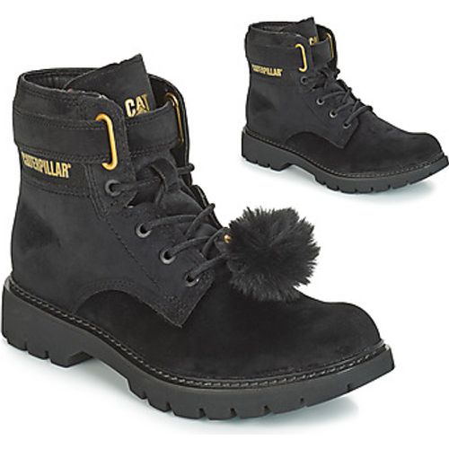 CONVERSION VELVET women's Low Ankle Boots in - Caterpillar - Modalova