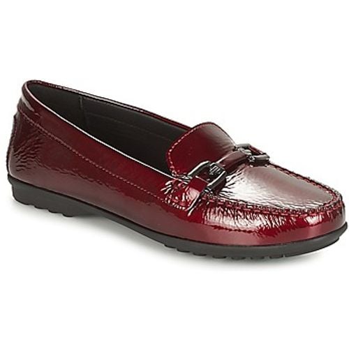 D ELIDIA women's Loafers / Casual Shoes in - Geox - Modalova