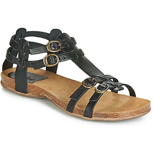 ANA women's Sandals in - Kickers - Modalova