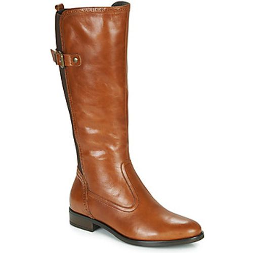 MAELLE women's High Boots in - André - Modalova