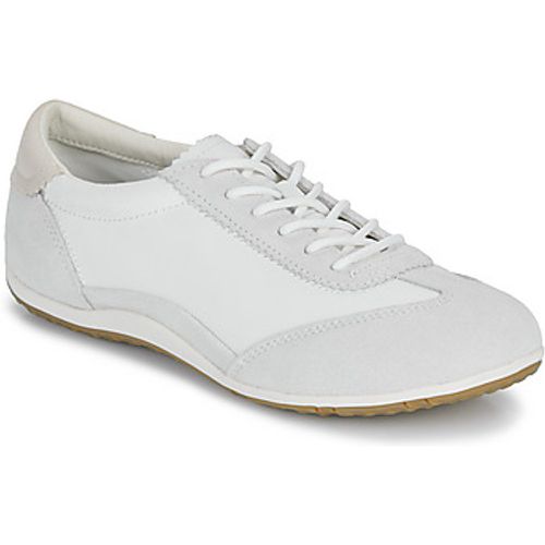 D VEGA women's Shoes (Trainers) in - Geox - Modalova