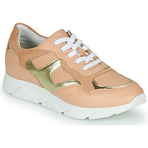 HAVILAH women's Shoes (Trainers) in - André - Modalova