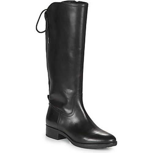 FELICITY women's High Boots in - Geox - Modalova