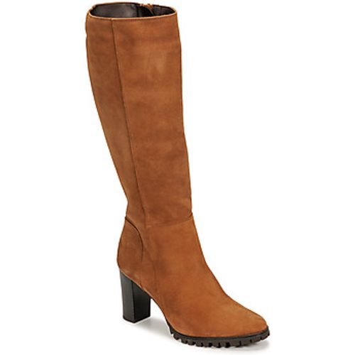 NOEME women's High Boots in - Betty London - Modalova