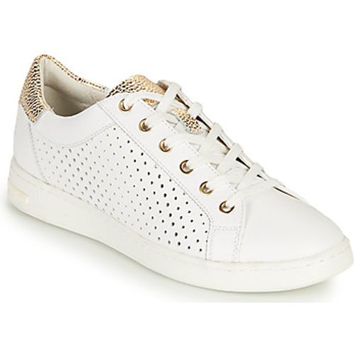 D JAYSEN B women's Shoes (Trainers) in - Geox - Modalova