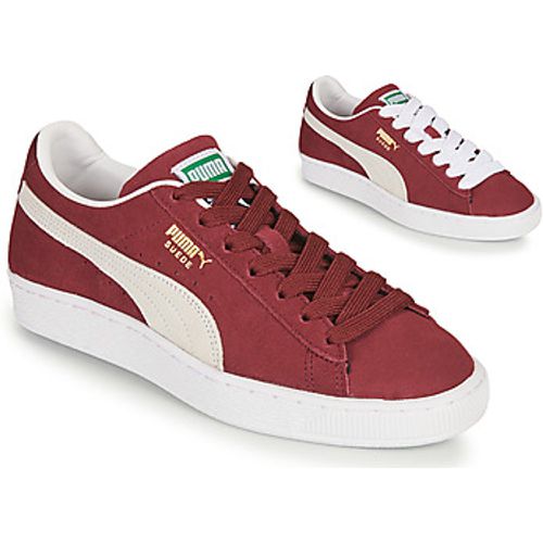 SUEDE men's Shoes (Trainers) in - Puma - Modalova