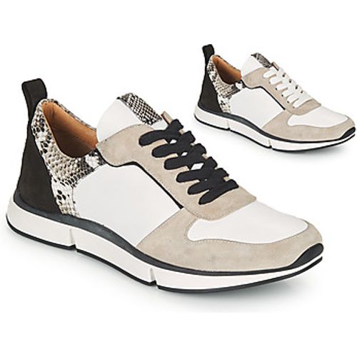 VANILLE V5 PYTHON ICE women's Shoes (Trainers) in - Adige - Modalova