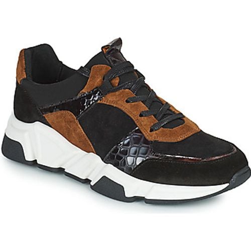 KENO women's Shoes (Trainers) in - Regard - Modalova