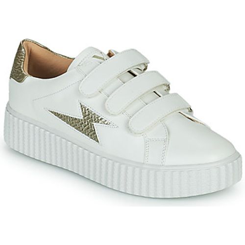 SUROIT women's Shoes (Trainers) in - Vanessa Wu - Modalova