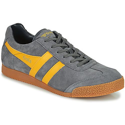 Harrier men's Shoes (Trainers) in - Gola - Modalova