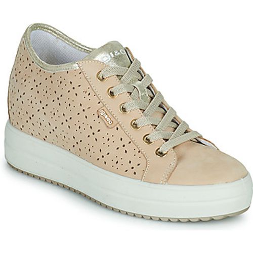 IgI&CO 1655333 women's Shoes (Trainers) in - IGI&Co - Modalova