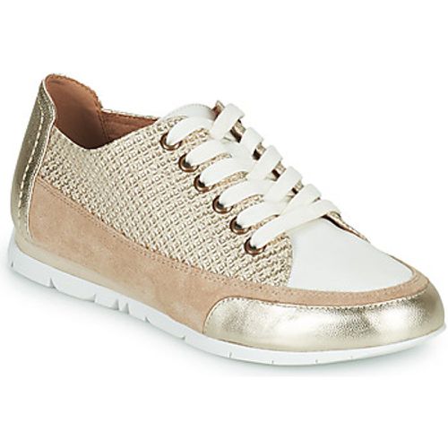 CAMINO women's Shoes (Trainers) in - Karston - Modalova