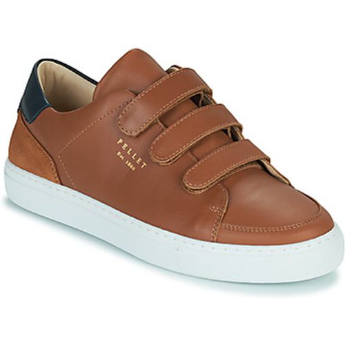 SID men's Shoes (Trainers) in - Pellet - Modalova