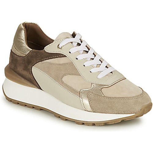 FORTE women's Shoes (Trainers) in - JB Martin - Modalova