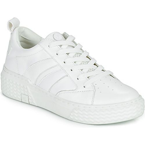 EGO 03 LEA~/~M women's Shoes (High-top Trainers) in - Palladium - Modalova