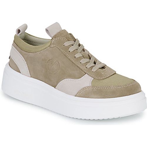 BELFAST men's Shoes (Trainers) in - Yurban - Modalova