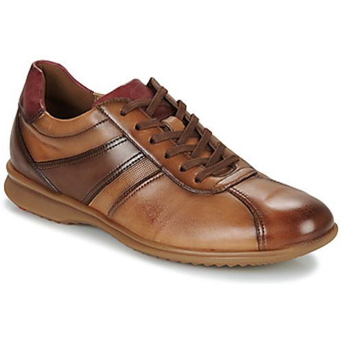 DAVOS men's Shoes (Trainers) in - Lloyd - Modalova