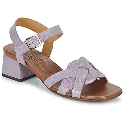 QUAURA women's Sandals in - Chie Mihara - Modalova