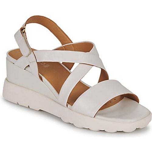 D SPHERICA EC6 women's Sandals in - Geox - Modalova