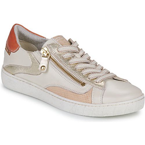 LANZAROTE women's Shoes (Trainers) in - Pikolinos - Modalova