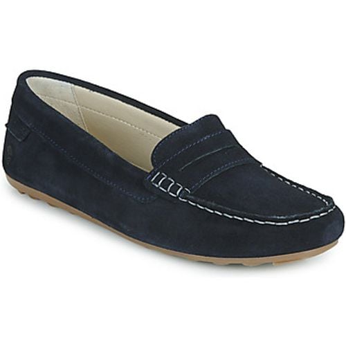 NEW01 women's Loafers / Casual Shoes in - Casual Attitude - Modalova